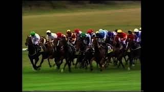 2004 Totesport Cesarewitch Handicap [upl. by Rolph666]