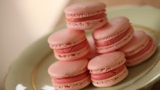 Beths Foolproof French Macarons Trailer [upl. by Nahtanaoj]