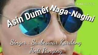 NAGA NAGINISARBESWAR KARDONGZINTI PANGGINGSARBESWAR KARDONG OFFICIAL [upl. by Olav]