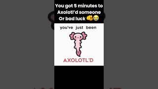 Axolotl’d someone else or bad luck quick only 5 minutes [upl. by Maximo]