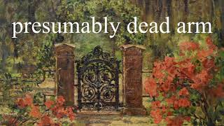 presumably dead arm — sidney gish cover [upl. by Annaohj609]