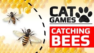 CAT GAMES  🐝 CATCHING BEES ENTERTAINMENT VIDEOS FOR CATS TO WATCH [upl. by Gascony]