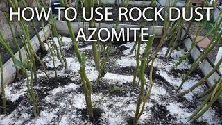 Side dress your plants with Azomite Rock Dust to remineralize soil [upl. by Ayikur]