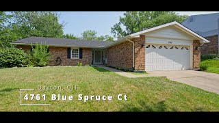 4761 Blue Spruce Ct [upl. by Heywood148]