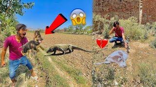 German Shepherd Dog Baby Ko Big Lizard Se Rescue Kar Lea 😊 Bakra Ko Dafna Dea💔 [upl. by Katzir]