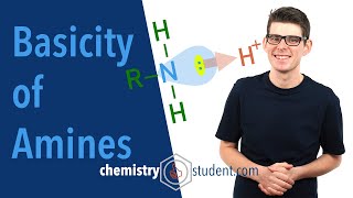 Amines  Basicity Alevel Chemistry [upl. by Eiramnaej464]