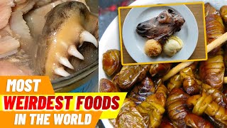 10 MOST WEIRDEST FOODS IN THE WORLD [upl. by Anaj]