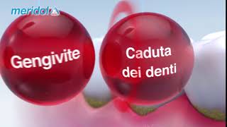 Dentifricio e collutorio meridol® per la prevenzione dei problemi gengivali [upl. by Jeffcott]