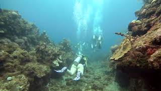 1 Decent Green Outhouse Wall Roatan Honduras [upl. by Rexer]