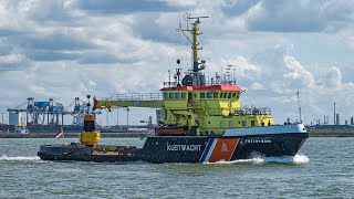 Over 3 hours of Shipspotting Rotterdam in august 2021  Hoek van Holland  Maasvlakte [upl. by Idnahs]