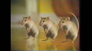 Other  1997  Everfresh with Activated Charcoal Cat Litter Dancing Mice Commercial [upl. by Nelyahs]