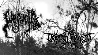 WERWOLF  DRUADAN FOREST split CDLP teaser official [upl. by Treacy]