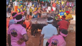 Kambala Start  Kakkepadavu Mangalore Season 202324 [upl. by Rawden]