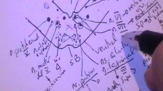 NEUROANATOMIA 20 TALLO CEREBRAL PUENTE Configuracion Interna [upl. by Ahsenroc306]