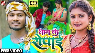 Video  धान के रोपाई  धनंजय धड़कन धान रोपाई सांग  Dhan Ke Ropai  Bhojpuri Song 2022 [upl. by Nary840]