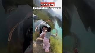 पानी के नीचे बनी वाटर स्लाइड   Dubai underwater water slide  dubai [upl. by Flossi]