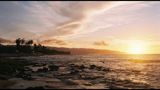 Oahu Vlog 2021 [upl. by Hyams]