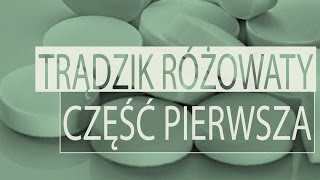 Trądzik różowaty  część 1 [upl. by Mccoy]