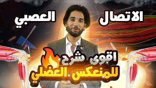 ثانية ثانوي ا أقوى🤯 شرح لدرس المنعكس العضلي 🔥 [upl. by Ecargyram]