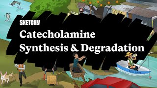 Catecholamine Synthesis amp Degradation Part 1  Sketchy Medical  USMLE Step 1 [upl. by Dubenko]