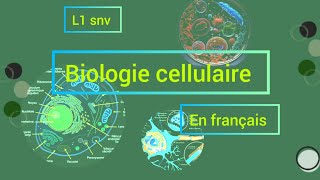 chapitre02 biologie cellulaire la membrane plasmique 🦠🧫🔬🧬  Français [upl. by Farlee402]