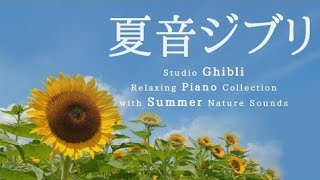 夏音ジブリ・ピアノメドレー【作業用BGM】【途中広告なし】Studio Ghibli Summer Day Piano Collection Piano Covered by kno [upl. by Eilsek]