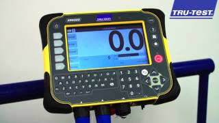 How to create a new weigh session on an XR5000 ǀ TruTest [upl. by Llennor]