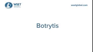 How to say it Botrytis [upl. by Irena87]