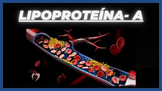 COLESTEROL E LIPOPROTEÍNAA QUAL A DIFERENÇA [upl. by Hazem739]