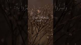 Beautiful Quran Recitation shorts [upl. by Niryt]