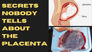 Placenta  What It Is And How It Works  Amazing Facts About The Placenta [upl. by Iona811]