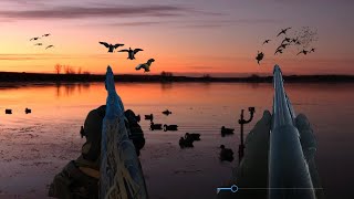 The Best Mallard Duck Hunting Weekend of My Entire Life [upl. by Bywaters]