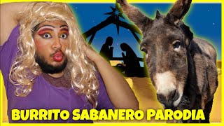 MI BURRITO SABANERO PARODIA [upl. by Portland]