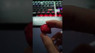 Freeze Dried Strawberry Review [upl. by Elem675]