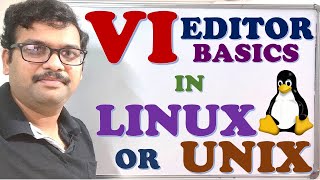 VI EDITOR BASICS IN LINUX  UNIX  LEARN VI EDITOR COMMANDS  LINUX  UNIX [upl. by Phares830]