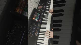 Beethoven  Für Elise shorts piano music cover korg [upl. by Westleigh]