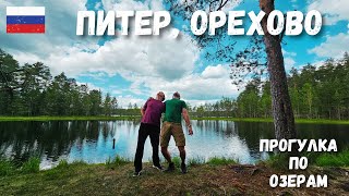 Озера в Орехово Ленобласть Питер Вокруг озера Большое Борково и южных озер [upl. by Mlehliw]