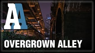 Overgrown Alley  1hr Ambient Sound amp Visuals [upl. by Nairrod]