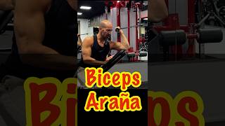 Bíceps en Polea Analítico gym tips [upl. by Eisseb]