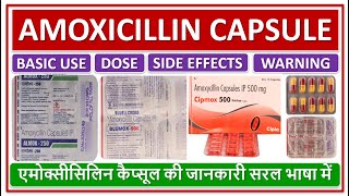 AMOXICILLIN CAPSULE BASIC USE DAILY DOSE SIDE EFFECT एमोक्सीसिलिन कैप्सूल की जानकारी सरल भाषामें [upl. by Reehsab]