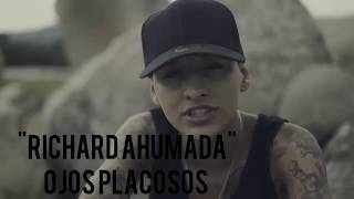 Top 15 Mejores Canciones De Richard Ahumada [upl. by Ardaed]