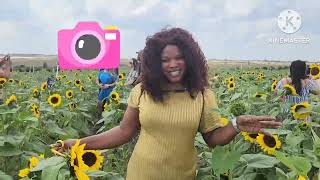 COME WITH US TO SUNFLOWER 🌻FIELD sunflowerfarm firsttime missbenininamerica [upl. by Ainirtak309]