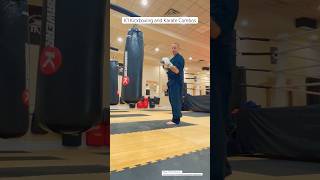 Kickboxing Combos workout martialarts fightingsport [upl. by Yr732]