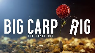 BIG CARP RIG Carp Fishing Rigs Made Easy  Tie THE HINGE RIG PopUp Rig Like A PRO Mainline Baits [upl. by Auqcinahs]