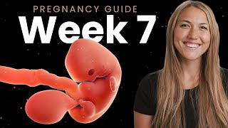 7 Week Pregnancy  Week By Week Pregnancy [upl. by Gamal]