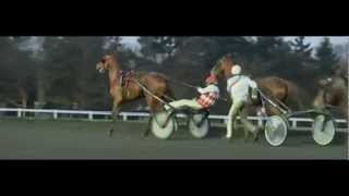 Prix Leopold Verroken 2013Rod Stewart 1155JM Bazire [upl. by Latouche]