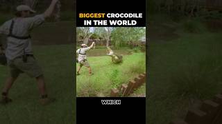 Biggest crocodile in the world facts ytviral animals science philippines [upl. by Aisenet386]