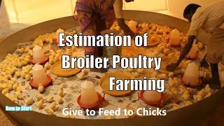 Estimation of Broiler Poultry Farming Poultry Chicken Farming cost in India  Village poultry Farm [upl. by Keyek770]