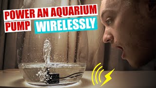 Powering a Mini Water Pump Wirelessly for terrarium vivarium paludarium [upl. by Alisander]