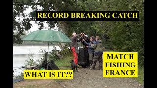 Record Breaking match fishing The ANAC championship round 8 Mayenne France [upl. by Ahsauqram889]